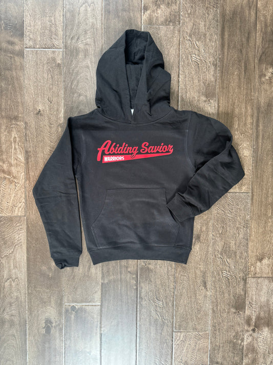 Youth Abiding Savior Baseball Hoodie