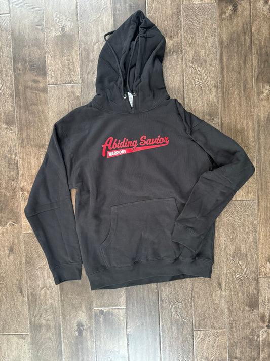 Adult Abiding Savior Baseball Hoodie